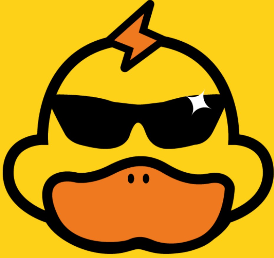 快鸭vqn电脑下载